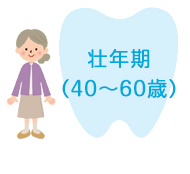 壮年期（40～60歳）